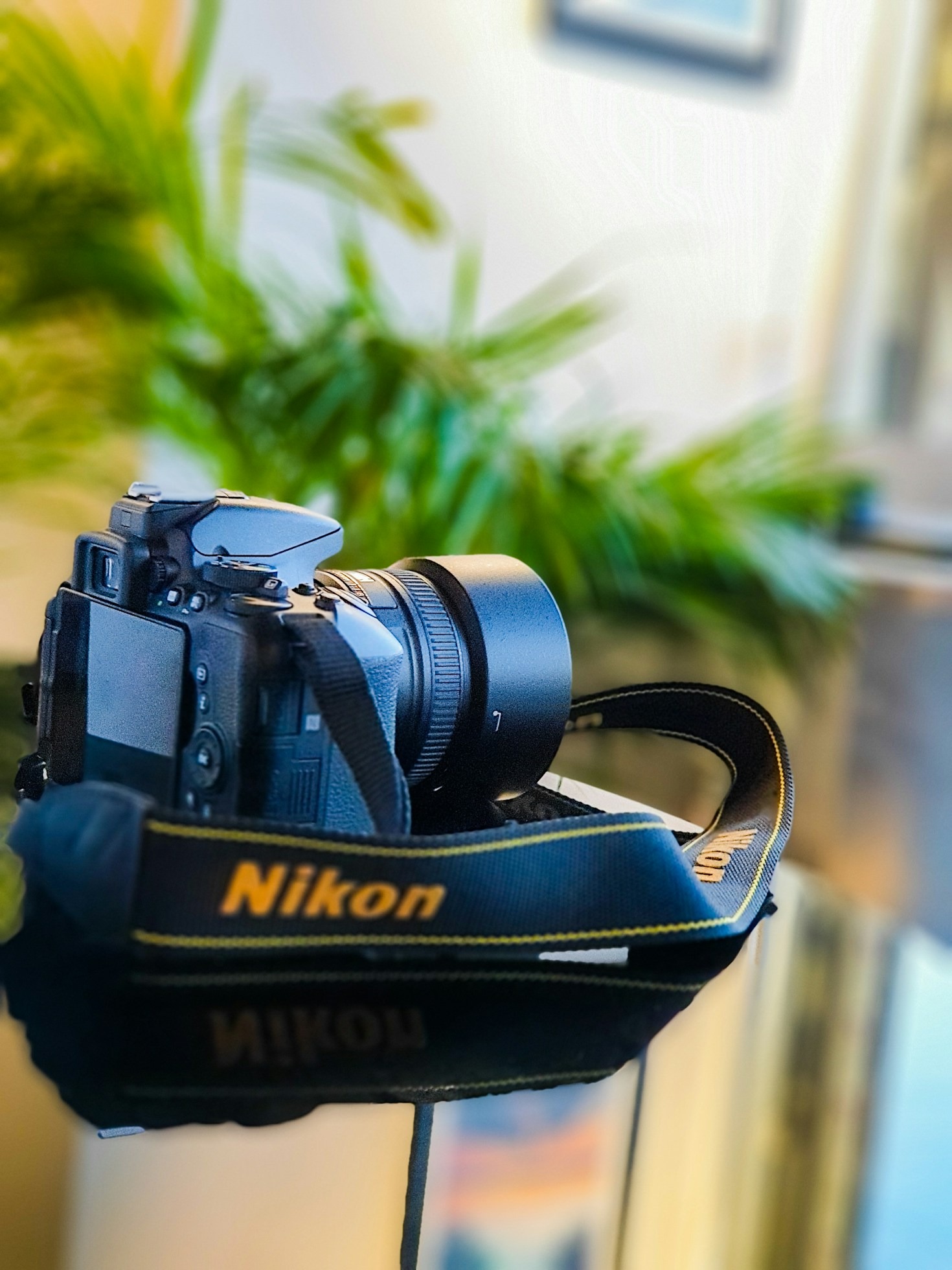 Top 5 Photography Accessories You Must Own